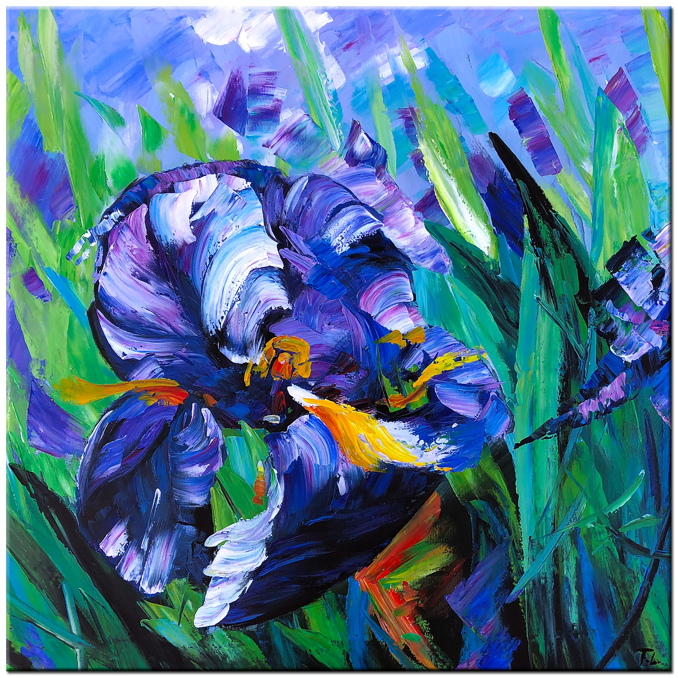 Bloemen schilderij Paarse Iris Abstract 100x100cm