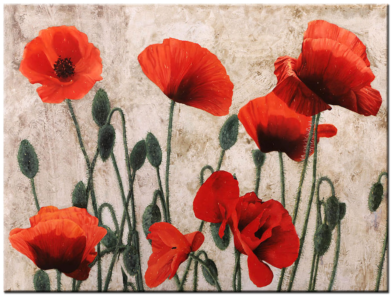 Bloemen schilderij rode klaprozen 120x90cm