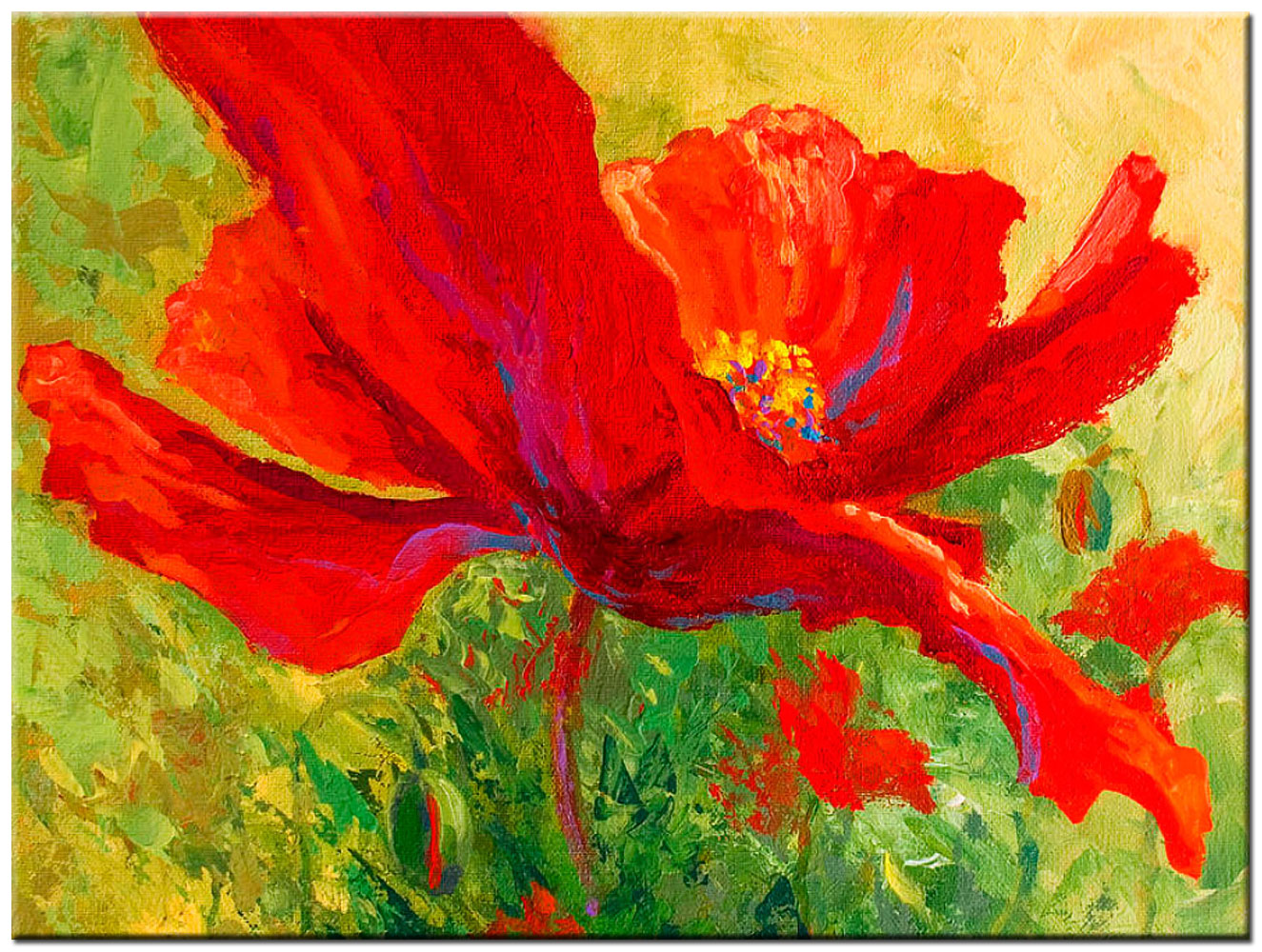 Bloemen schilderij Rode Klaproos Abstract 120x90cm