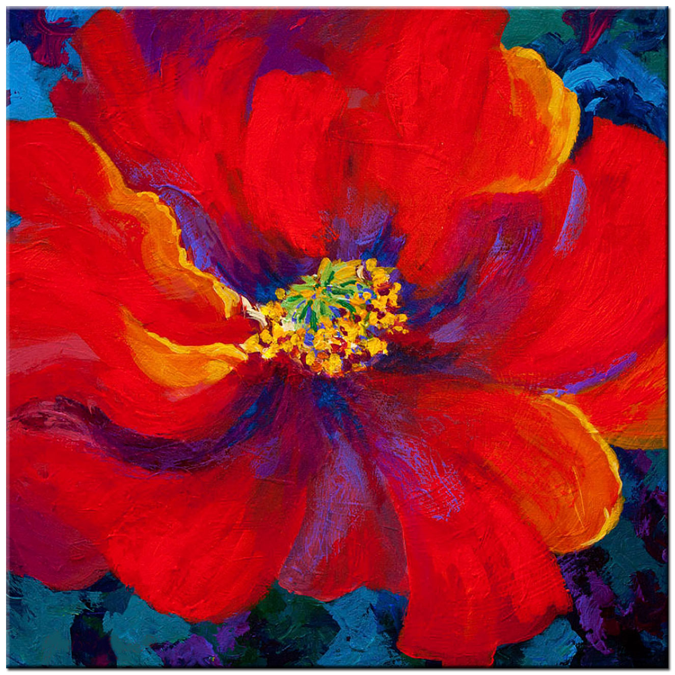 Bloemen schilderij Rode Klaproos Close-up 100x100cm