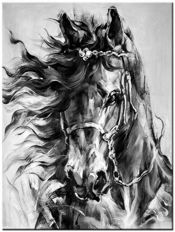 paard zwart/wit schilderij